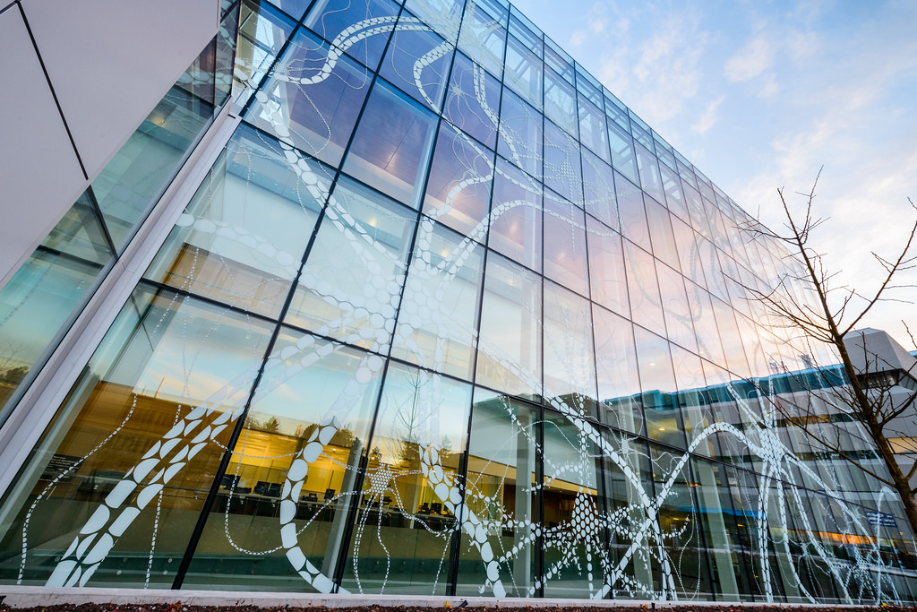 Curtain Wall